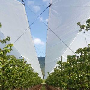 Bâche de protection renforcée anti-UV en tissu tissé HDPE <span class=keywords><strong>pour</strong></span> serre et verger - Product Image 1
