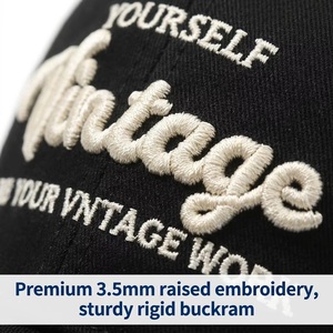 Cappellino da Baseball in Cotone a 6 Pannelli con Logo Personalizzato OEM ODM, Ricamo 3D 3,5 mm, Stile Vintage, Streetwear, Moda, MOQ Basso, Consegna Rapida - Product Image 4