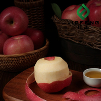 Yantai Rode Fuji Appel |   Zoet vers fruit |   Chinese exportleverancier
