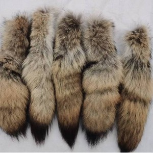 <span class=keywords><strong>Coyote</strong></span> Tail Fox Dog Tail Fur Pendant Bag Key Shoe Hat Colgante - Product Image 2
