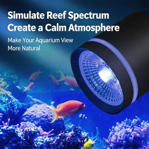 Lampe à pince LED 20W bleue et blanche réglable <span class=keywords><strong>pour</strong></span> <span class=keywords><strong>aquarium</strong></span> d'<span class=keywords><strong>eau</strong></span> salée et d'<span class=keywords><strong>eau</strong></span> <span class=keywords><strong>douce</strong></span>, corail, plante aquatique, aquascape <span class=keywords><strong>pour</strong></span> <span class=keywords><strong>aquarium</strong></span> de poissons, économe en énergie - Product Image 2