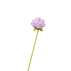 Rose violette