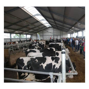 Prezzo della struttura in acciaio della casa di allevamento del maiale basso - Product Image 2