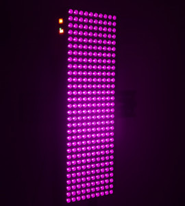 Panel terapi lampu merah 1000W, lampu Led terapi seluruh badan, lampu inframerah 660nm 850nm - Product Image 6