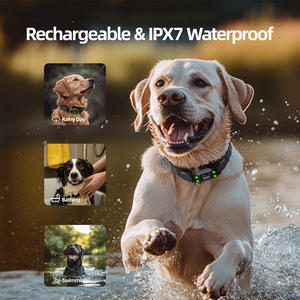 Collier de dressage électronique pour chien en plastique étanche avec <span class=keywords><strong>GPS</strong></span> par satellite, son, vibrations, clôture électronique fixe, GSM GPRS, sans émetteurs - Product Image 2