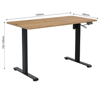 Bureau debout électrique, bureau de jeu réglable en hauteur, table d'ordinateur, mobilier de bureau à domicile, bureau de travail moderne
