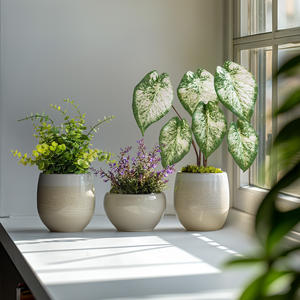 Juego de venta de liquidación B2B, 3 Mini plantas de hierba de plástico en maceta artificiales para el hogar, jardín, oficina, escritorio, decoración, tipo de flor para cumpleaños - Product Image 5