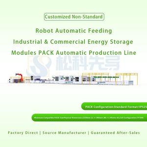 Módulos de Baterías de Litio Prismáticas de Carga Semiautomática para Robots, Línea PACK SUNKA LEAD 8-10PPM, Almacenamiento de Energía Industrial y Comercial - Product Image 5