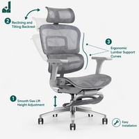Fauteuil de Bureau Ergonomique en Maille Premium 4D avec Accoudoirs, Appuie-tête et Repose-pieds Rétractables, Chaise Inclinable pour Travail et Repas