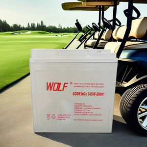 Ắc quy xe golf <span class=keywords><strong>Deep</strong></span> <span class=keywords><strong>Cycle</strong></span> 24V 48V 72V 200Ah không cần bảo dưỡng, ắc quy axit chì <span class=keywords><strong>6V</strong></span> - Product Image 6