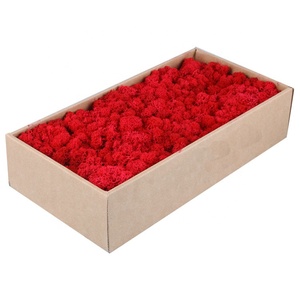 <span class=keywords><strong>D</strong></span>écoration intérieure de mousse verte pour la maison <span class=keywords><strong>d</strong></span>écor préservé mousse <span class=keywords><strong>d</strong></span>'art - Product Image 2