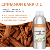 Huile essentielle de cannelle 100% pure naturelle fraîche, vente en gros, qualité supérieure, pureté élevée, huile non diluée, certifiée GC-MS MSDS COA, usine certifiée