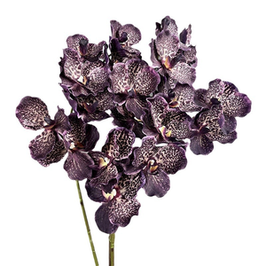 Orchidées <span class=keywords><strong>Vanda</strong></span> Artificielles de Mariage Imprimées en 3D, Fleurs en Soie, Décor à la Maison, Arrangements de Mariage pour Halloween, Tiges de Fausses Orchidées - Product Image 4
