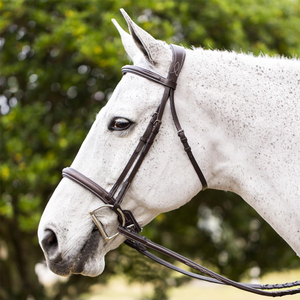 Brida Profesional para Caballo en Cuero Genuino de Alta Calidad, Color Personalizado, Logotipo Personalizado, Tamaños Personalizados, Precios al por Mayor - Product Image 2