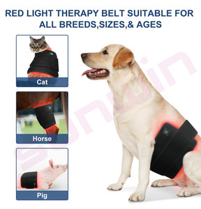 Máquina de terapia de luz roja LED reutilizable 660nm 850nm instrumento veterinario infrarrojo cercano para tratamiento de mascotas de perro <span class=keywords><strong>a</strong></span> caballo - Product Image 6