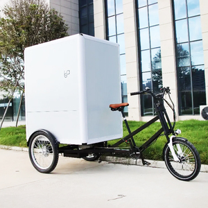 Carga pesada bicicleta eléctrica camión de reparto caja trasera <span class=keywords><strong>Velomobile</strong></span> 3 ruedas Ebike para carga con caja de aluminio para entrega - Product Image 2