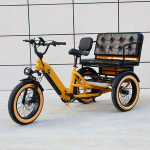 Triciclo Eléctrico de 3 Ruedas con Suspensión Delantera, Tracción Trasera, Bicicleta de Carga Familiar, Neumáticos Anchos, E-Trike para 2 Personas, para Turismo - Product Image 1