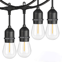 Groothandel E27 Festoon Vervangbare Socket Waterdichte IP65 Buiten Cafe Bistro Tuin Seizoensgebonden Avondbelichting Sfeerverlichting S14 Retro