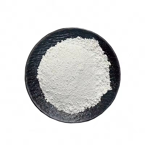 Dióxido de titanio de grado industrial (CAS 13467-67-7) Rutilo TiO2 Polvo blanco Precio bajo Suministro de fábrica Pigmento de recubrimiento TIO2 - Product Image 1
