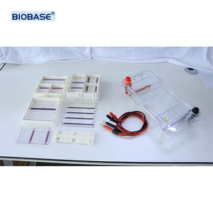 Appareil d'électrophorèse horizontale Biobase Chine pour la séparation et la purification de l'<span class=keywords><strong>ADN</strong></span> – Analyse d'acides nucléiques de qualité laboratoire - Product Image 3