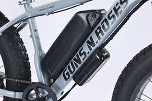 Bicicleta Eléctrica de Neumáticos Anchos de Alta Calidad de Fábrica en Oferta, Batería de Litio de 350 W, Discover Fatbike Discover - Product Image 4