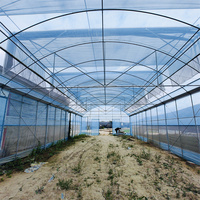 Serres agricoles à faible coût, tunnels à tomates, structure métallique, serre tropicale, serre multi-spans de 1000 m2, revêtement en film pour plantes