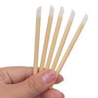 Applicateur de rouge à lèvres jetable en bambou écologique pour le maquillage