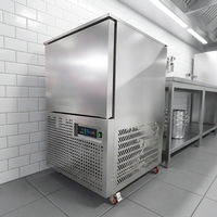 Congélateur professionnel commercial à congélation rapide en acier inoxydable pour le moulage du chocolat et la congélation rapide de la viande et des fruits de mer