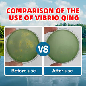 Vibrio Activator Aquaculture Feed Produtos Aquáticos Verdes e Seguros - Product Image 5