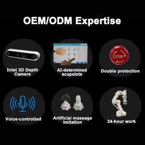 CE Certified OEM/ODM Customizable Full Body 1 & 2 arm AI Robotic Massage Double Arms For Physical Therapy Centers, Hotels & Gyms - Product Image 3