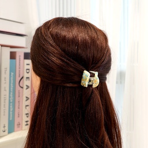 Canyuan Chất Lượng Cao 3.8Cm Rùa Vỏ Màu Bán Tròn Acetate Acrylic Móng Vuốt Tóc Dễ Thương Mini Claw Clip Tùy Chỉnh Bán Buôn - Product Image 6