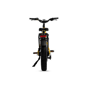 Nouveau vélo de ville électrique 48v e trek vélo de montagne 750w double moteur capteur de couple trek electrica bicicleta pour petits coureurs - Product Image 5