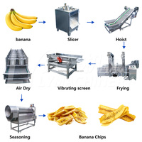 Automatische machines voor het maken van plantainchips en bananenchips, verwerkingslijn voor bananenchips (SUS304)