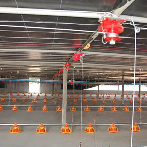 Nouveau système de ligne automatique d'alimentation et de consommation de poulets de chair PUHUI PH-C01 15000 avec matériau PP et garantie 1 an - Product Image 1