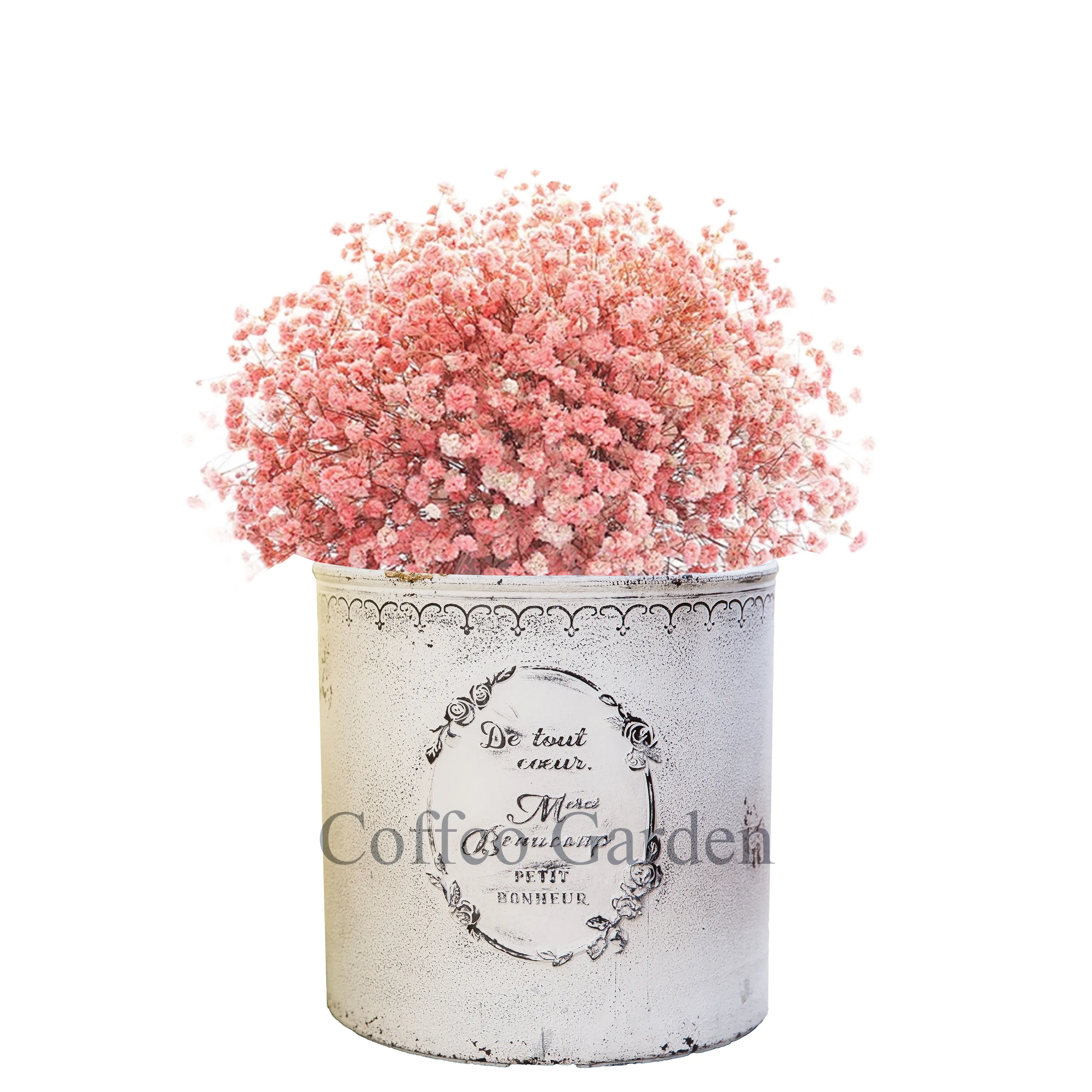 Coffco 로즈 실린더 플라스틱 화분 화분 화분 정원 용품, 실내 및 실외 정원 가정 식물