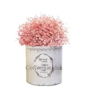 Coffco Rose Cylinder Plastic Flowerpot Planter Garden Supplies For Indoor Outdoor Garden Home Plants