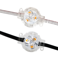 Luces LED de Píxeles RGBW UCS2904 de 30 mm para Parques Temáticos Navideños, Luces Puntuales Impermeables para Exteriores IP68