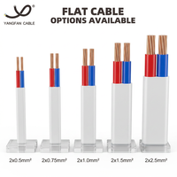 Cable de Alimentación Plano Flexible de Cobre/PVC/PVC, 300/500V, 2 Núcleos Paralelos, Cable Eléctrico con Aislamiento de PVC para Electrodomésticos