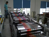 Haute vitesse 8 couleurs 200mm-3200mm Cookie vinyle Poly polyéthylène LDPE sac givré gravure machines d'impression