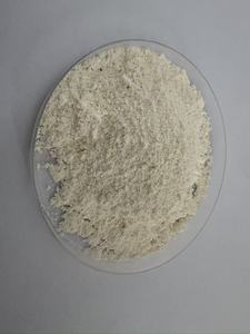 GeoQuin Ossidi di Terre <span class=keywords><strong>Rare</strong></span> in Polvere Giallo Chiaro ad Alta Purezza 99,9% SEM/D50 1-2m per Applicazioni Catalitiche e Biologiche - Product Image 2