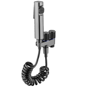 Grifo de <span class=keywords><strong>inodoro</strong></span> moderno 2 en 1 para el hogar, con boquilla de bidé de latón ABS y acero inoxidable 304, montado en la pared para baño - Product Image 1
