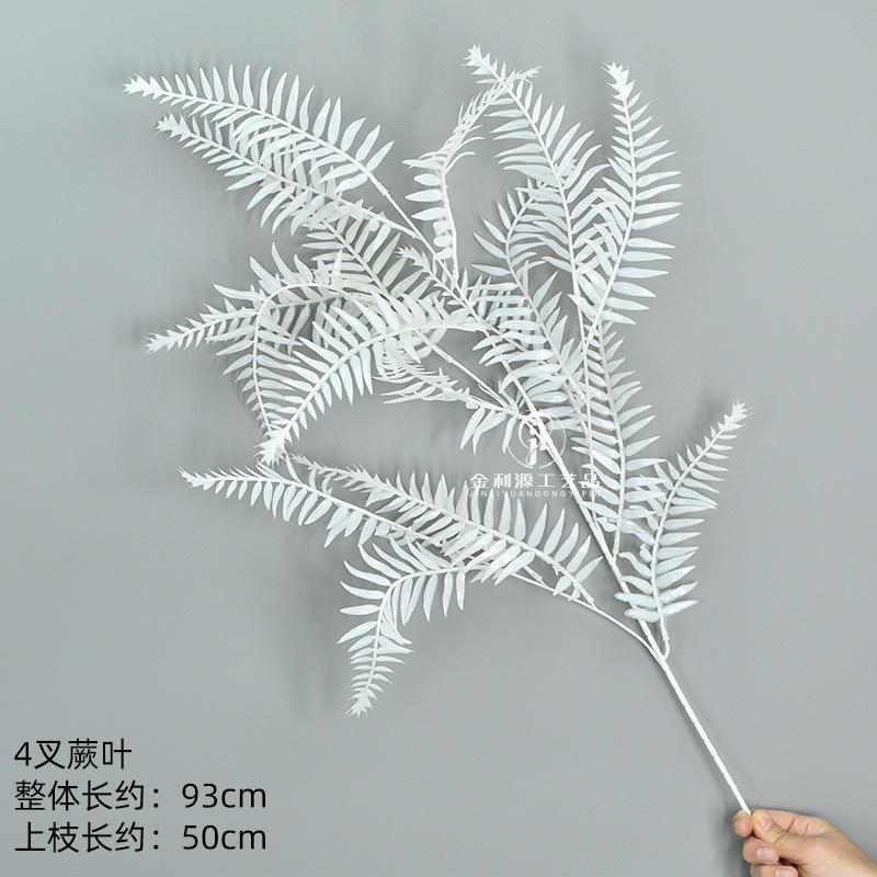 Helecho hoja hierba blanca