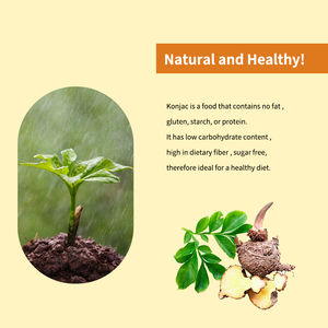 Fideos Konjac Secos <span class=keywords><strong>Sin</strong></span> <span class=keywords><strong>Gluten</strong></span>, Sabor Zanahoria, Bajos en Calorías, Bajos en Carbohidratos, Veganos, a Base <span class=keywords><strong>de</strong></span> Plantas, Fideos Shirataki en Caja, Dieta Keto - Product Image 2