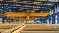 Pont roulant à double poutre robuste de 20 à 100 tonnes pour atelier d'électrolyse du cuivre, personnalisé
