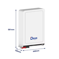 Vente à chaud Deye RW-M5.3 Pro 51.2V 104Ah batterie de stockage solaire 5.32kwh batterie au lithium-ion pour un usage domestique