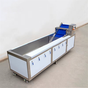 Équipement de nettoyage des légumes, laveuse de fruits et légumes, machine à laver les légumes à bulles d'ozone 500-1000 kg/h - Product Image 1