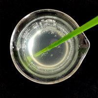 Capsule de la cellulose HPMC de catégorie médicale de prix usine
