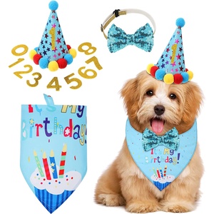 Grote luxe huisdier verjaardagsset <span class=keywords><strong>cartoon</strong></span> stijl hondenhalsband hoed vlag met letters print patroon huisdier feest attributen - Product Image 1