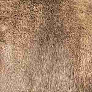 Vải lông giả mink mềm mại, ấm áp dùng làm chăn, áo khoác, áo choàng cho ghế sofa, giường, ghế dài - Product Image 3