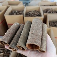 Bâtonnets de cannelle chinoise en gros, en écorce de cassia épaisse avec peau extérieure entière, riches en huile, non soufflés, pour marinades et bains d'huile, vente en gros pour usines